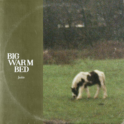 Big Warm Bed - Jackie
