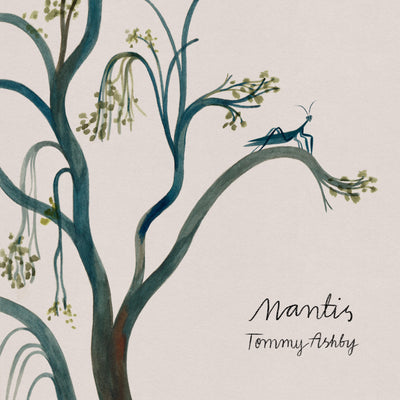 Tommy Ashby - Mantis