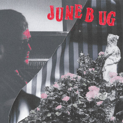 Big Warm Bed - June Bug