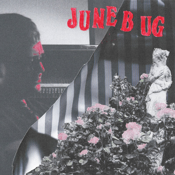 Big Warm Bed - June Bug