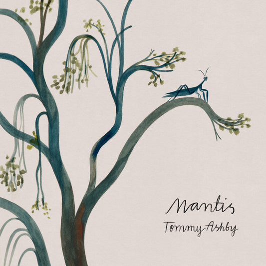 Tommy Ashby - Mantis