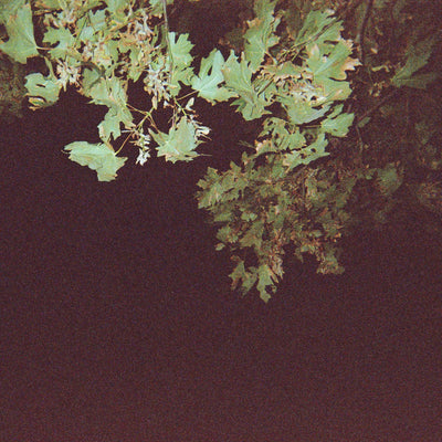 Jake Whiskin - Dark Days